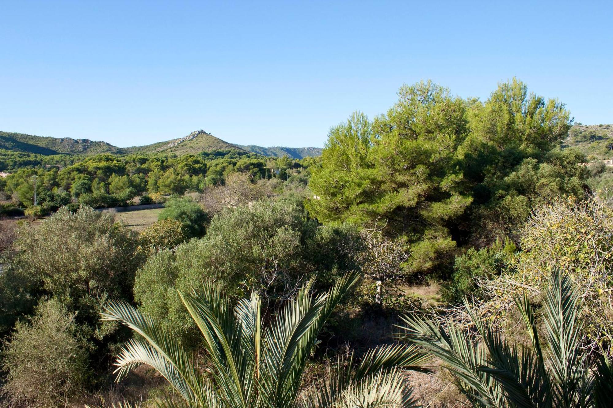 Fonda Las Palmeras Font de sa Cala Buitenkant foto